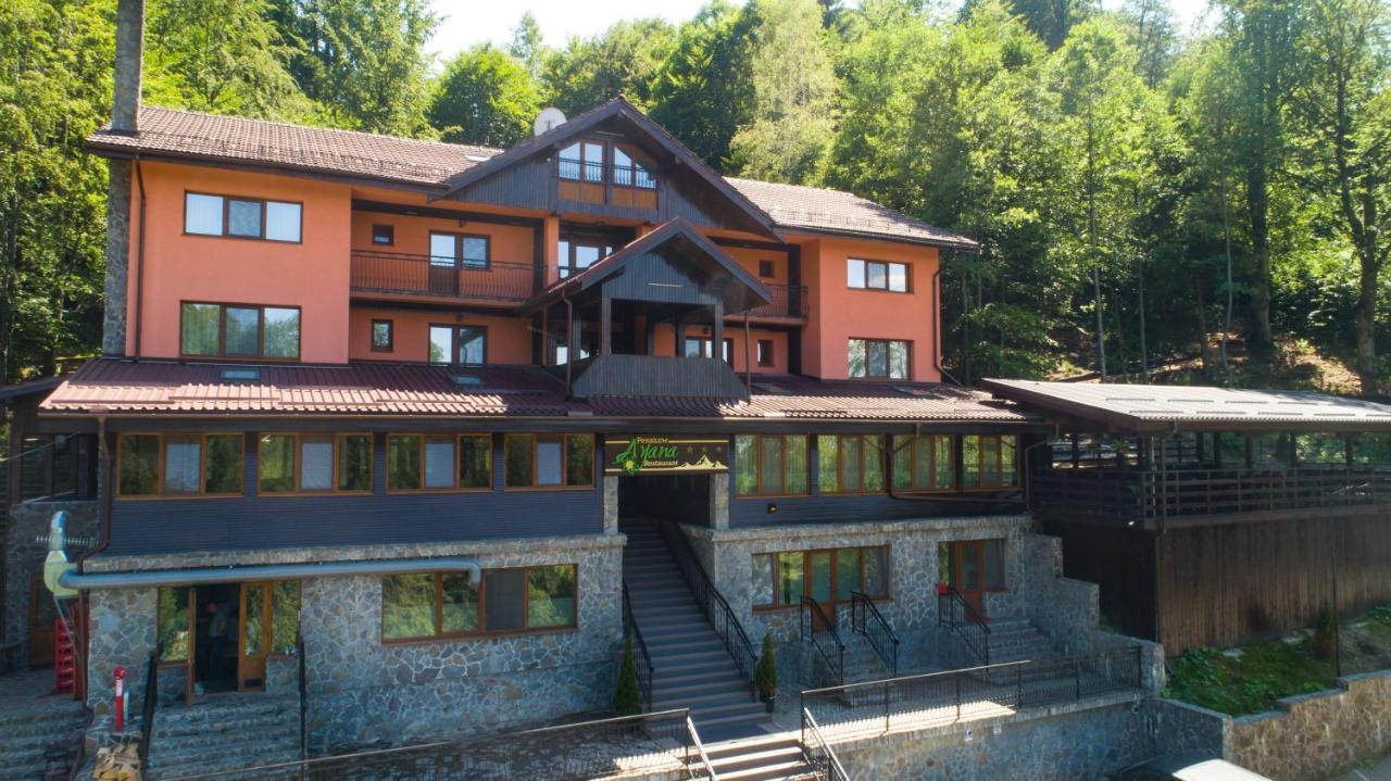 Pensiunea Ayana Petrosani Bagian luar foto
