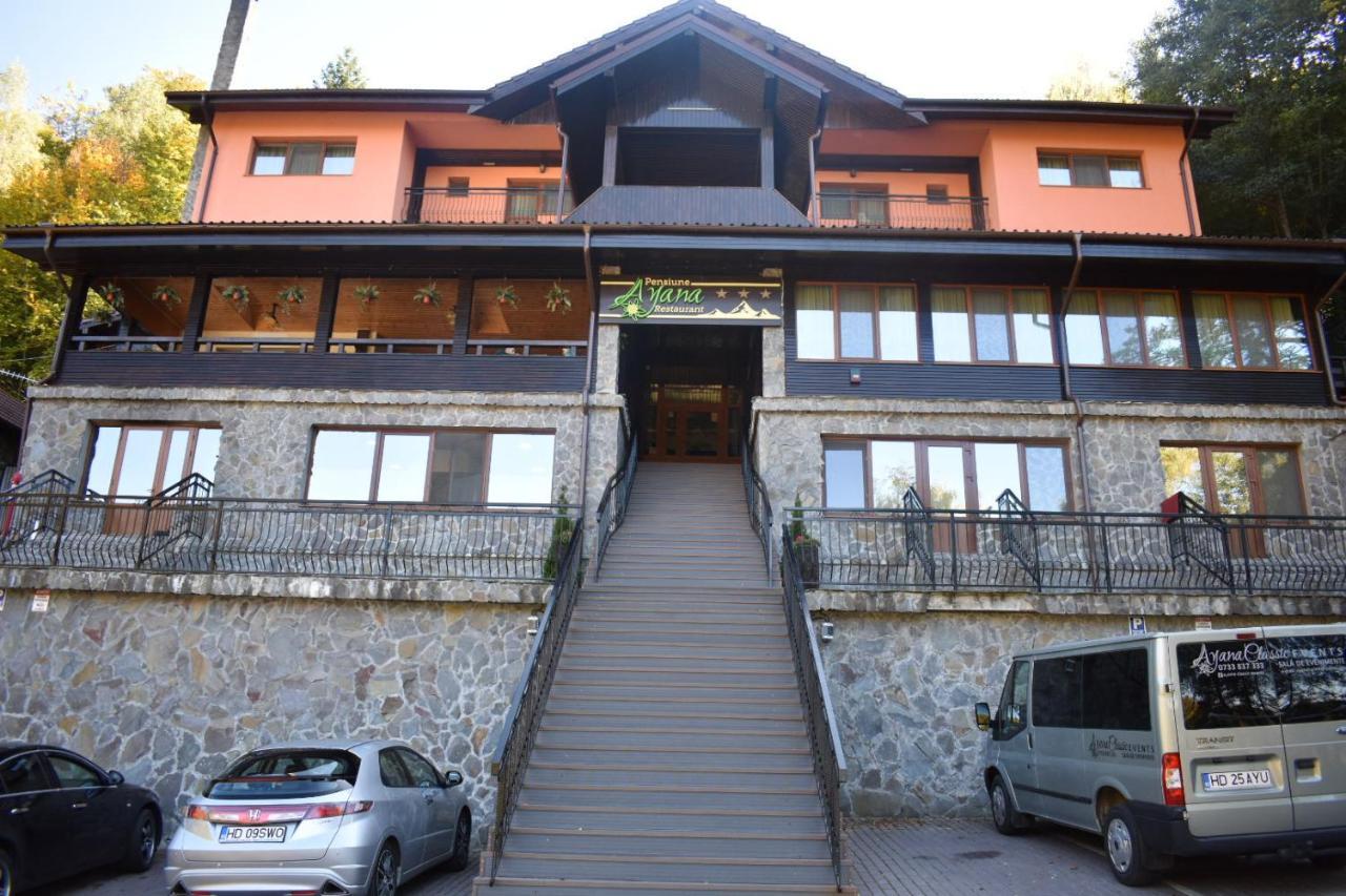 Pensiunea Ayana Petrosani Bagian luar foto